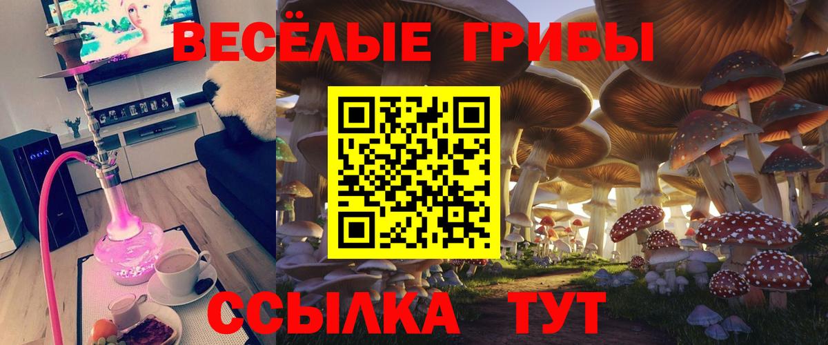 Галлюциногенные грибы мицелий Гуково