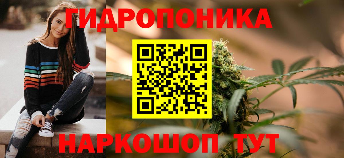 Шишки марихуана конопля  Канабис планчик  Вход с VPN  Бошки марихуана THC 21%  Канабис план  Гуково 